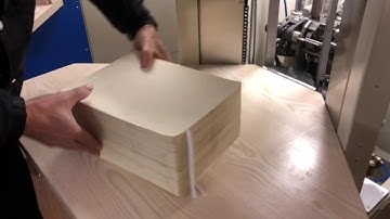 Automatic Paper Counting Machine (Match use with A4 machine for inspection)