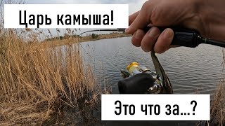 ПОДВОДНЫЙ ТАНК ВЗДРОГНУЛ, ВЫШЕЛ ИЗ КАМЫША И ЗАГНУЛ УДИЛИЩЕ В КОЛЬЦО!!! ЩУКА ТОЖЕ НЕ ДАЁТ СКУЧАТЬ!