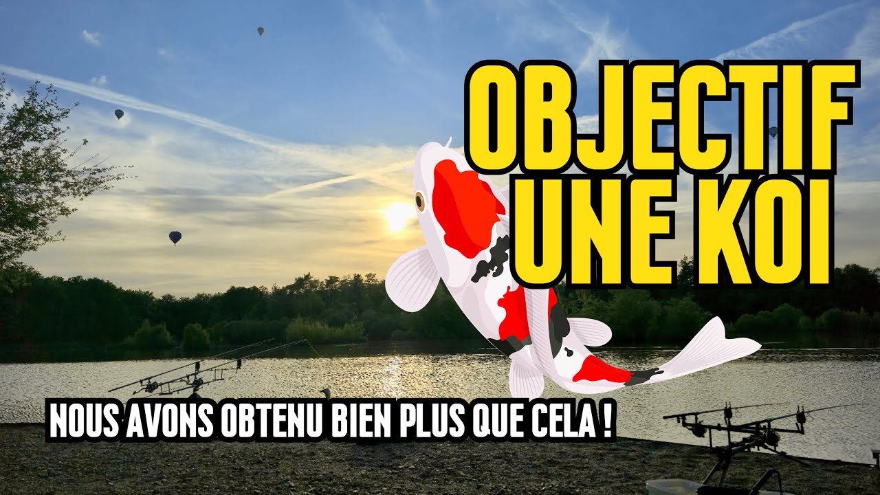 Session explosive : la méthode qui fait sortir les Koï de l'ombre !