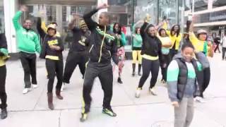 Jam 4 Jamaica Flashmob 2013