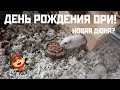 ДЕНЬ РОЖДЕНИЕ ПЕСЧАНКИ | КУПИЛА ДЮНУ? | Aoi Inko