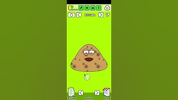 POU SHORT : PART 8