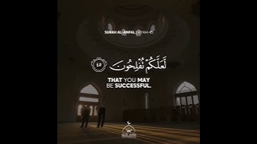 واذكرو الله كثيرا لعلكم تفلحون ❤💕🌷تلاوة تخشع لها القلوب الشيخ رعد الكردي💙