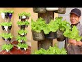 Vertical Vegetable Garden on Dry Trees, Growing Salad at Home for Everyone