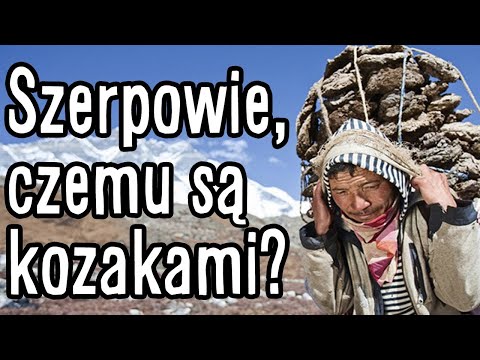 Wideo: Wojsko dokonuje wyboru