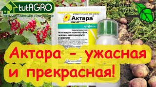 ВСЕ СЕКРЕТЫ ПРИМЕНЕНИЯ АКТАРЫ! Актара - прекрасная и ужасная! Как использовать Актару грамотно?