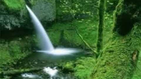 تلاوة خاشعة من سورة يونس الشيخ سلمان العتيبي