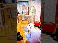 Shree momay dham aarti #shree momay dham kajurda #short#aarti#video