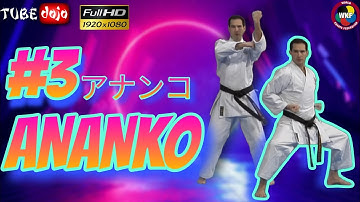 Shitoryu Kata Ananko | TUBEDOJO #topkata #bestkata