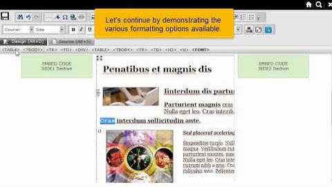 Editing and Formating Text in RvSiteBuilder (Flipper Host)