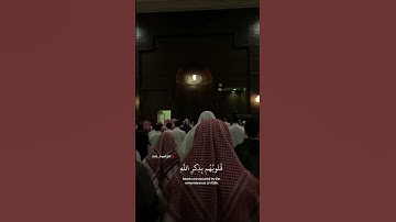 الذين امنوا وتطمئن قلوبهم بذكر الله|سورة الرعد~الآية28~القارئ الشيخ #محمد_اللحيدان ~🎧🤍