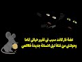 عضة فار كانت السبب في تغيير حياتي تمام ا وحولتني من فتاة ليل لإنسانة جديدة خالص 