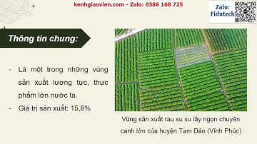 Giáo án PowerPoint Bài 10 (P2): Vùng Đồng bằng sông Hồng | GA điện tử địa lí 9 cánh diều