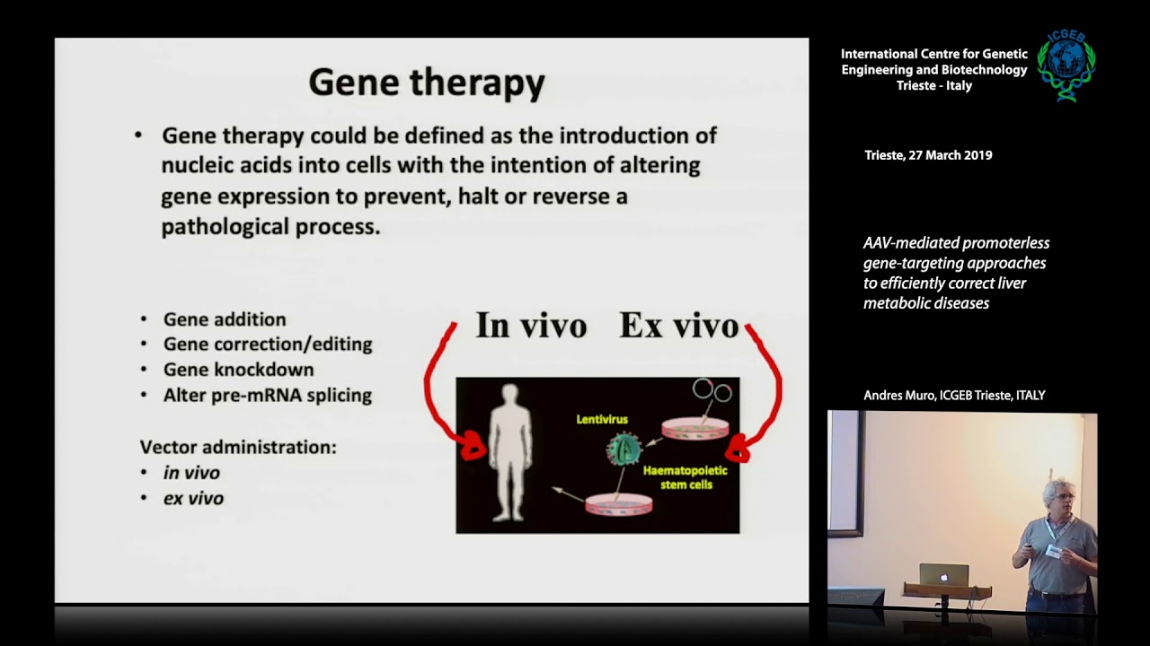 A. Muro - AAV-mediated promoterless gene-targeting approaches to efficiently correct liver metab...