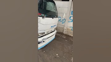 Suami PANIK !! Bamper truk macan di sanggrokin istrinya 😭