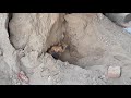 Rescue of suffocating puppies, mother trapped in collapsed sand.