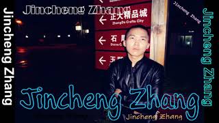 Jincheng Zhang - Polish (Instrumental Version) (Background Music) (Official Audio)