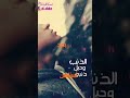 اني لو عندي قلب ماحب بعد اني لو عندي قلب ماحب بعد