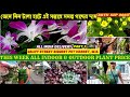 GaliffSt.Biggest Pet Market Recent Indoor & Outdoor Plant Price|জেনে নিন টালা হাটে গাছের দাম|28/9/25
