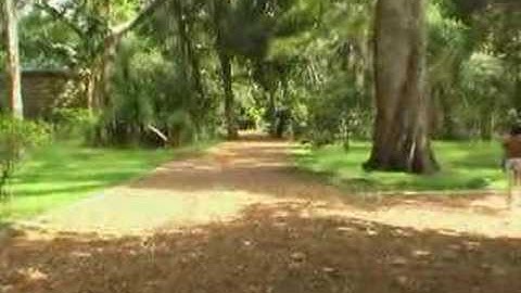 St Augustine 3D test