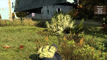 DayZ - Some random scripter