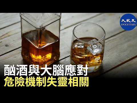 (字幕) 一份新研究發現酗酒與大腦應對危險的機制失靈相關。酗酒仍然是當今世界上最常見和嚴重的心理健康問題之一。| #香港大紀元新唐人聯合新聞頻道