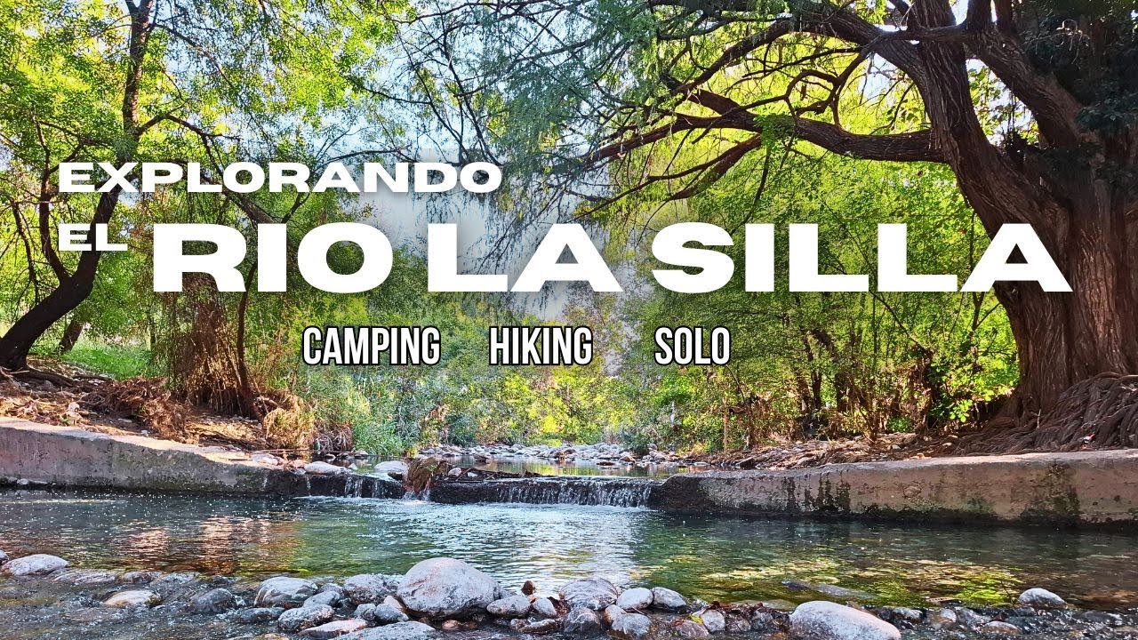 La Vida Oculta del Río La Silla: Entre el Bosque y la Ciudad