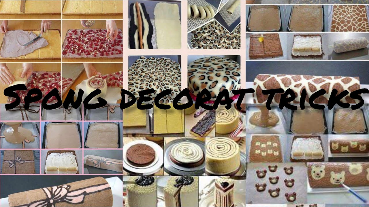 sponge design| sponge design ideas