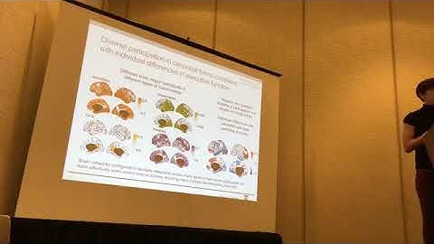 Network Neuroscience 2017 | Danielle Bassett