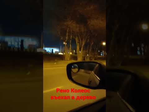 renault koleos въехал в дерево