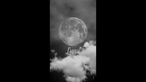 Einstein Object Detection AR