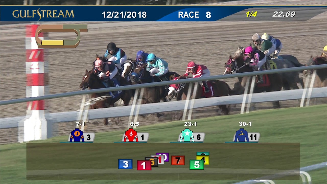 Gulfstream Race Track Schedule Today Gulfstream Race Track Schedule Today