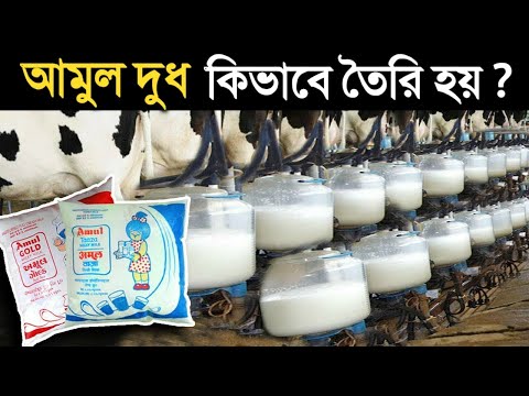 ভিডিও: আমূল স্থিতিশীলতা কি?