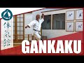 HOW TO GANKAKU SLOW FAST Shōtōkan Karate Kata By Fiore Tartaglia