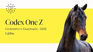 Codex One Z - Hengstenpresentatie 2024