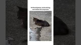 His Presence Alone Altered The Course Of Fate Without His Knowing