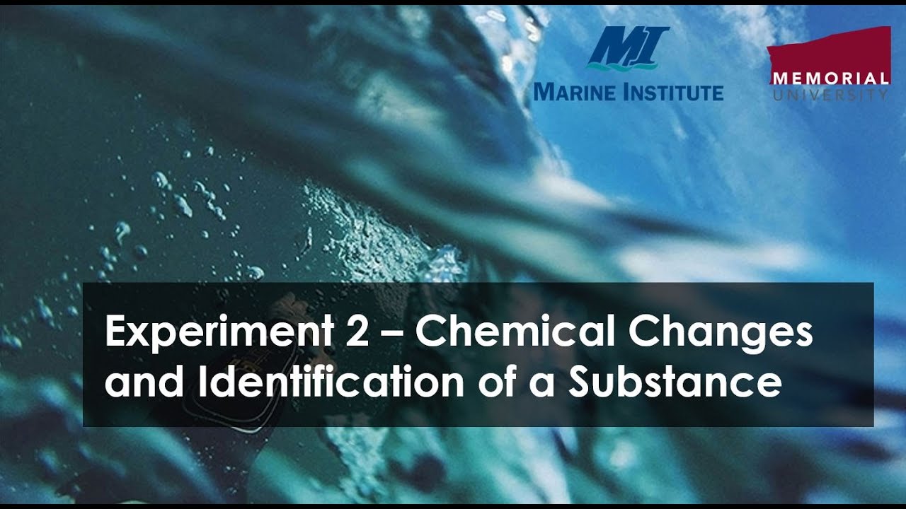 Experiment 2 - Chemical Changes and Identification of a Substance - YouTube