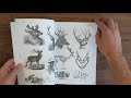 Animal reference book by vault editions