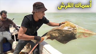 رحلة مدتها 7 ايام في وسط البحر صيد الزبيدي Shark fishing in the sea🇮🇶