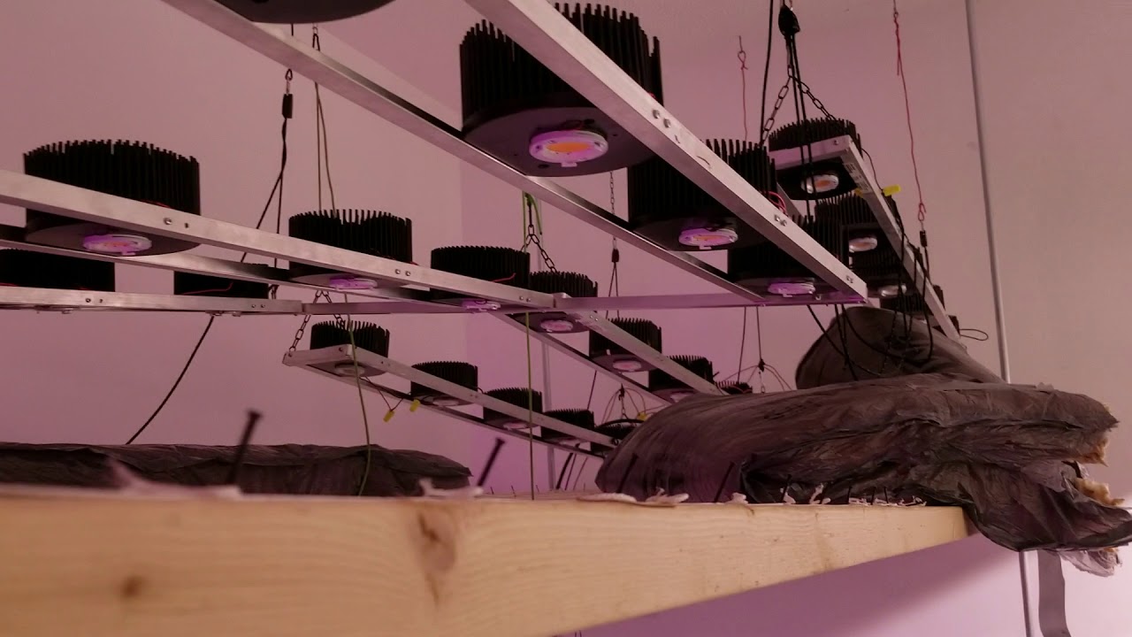 Cob LED VS DE CMH final opinion