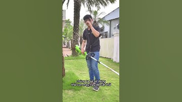 Máy cắt cỏ Greenworks 40V trợ thủ đắc lực cho khu vườn của bạn #greenworks #chamsocco #catco