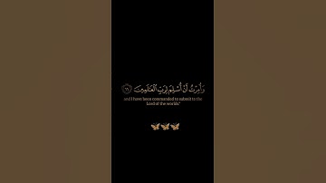 سورة غافر / القارئ الشيخ ياسر الدوسري / تلاوة خاشعة ومؤثرة تريح سمعك
