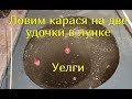 Эксперимент - ловля 2 удочками в одной лунке. Уелги 31.01.2021