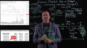 Futures Market Hedging - Example Buyer of Feeder Cattle