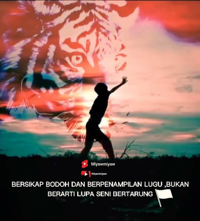 story wa macan putih. Jangan yang berkoar di takuti. #shorts