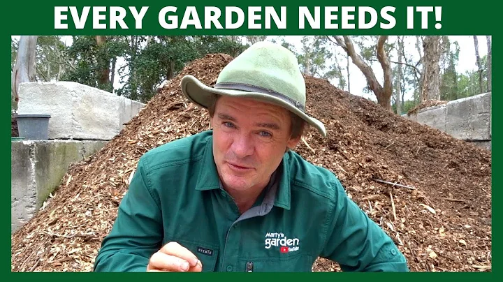 Why is Wood Chip So Important in the Garden?