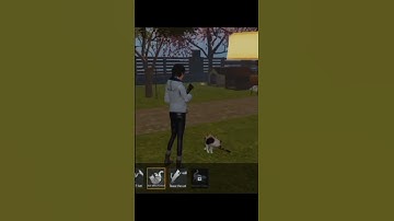 PET IN UNDAWN  #undawn #shortvideo