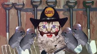 Ace Of Spades, sung by a lemmy kitten