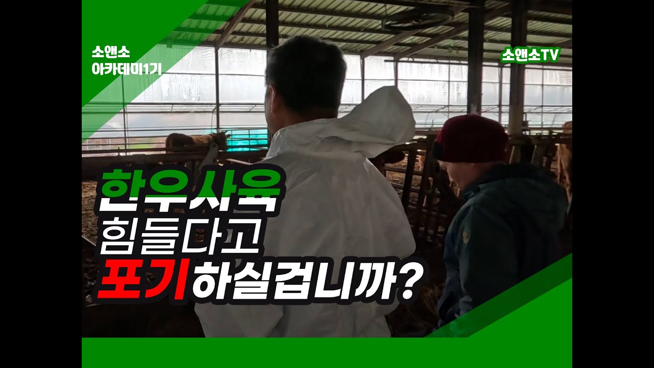 한우사육, 힘들다고 포기하실겁니까?