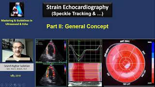 Principles of Strain Echocardiography 2